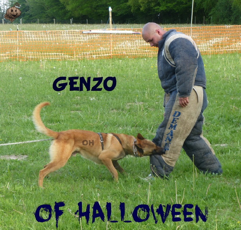 Genzo of Halloween