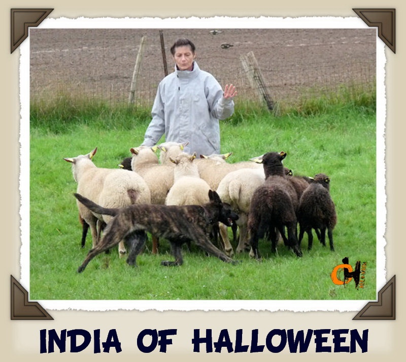 India of Halloween