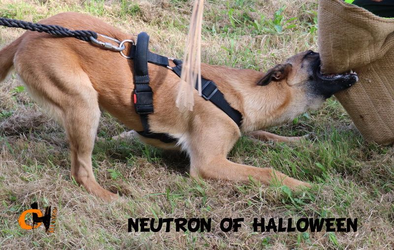 Neutron of Halloween
