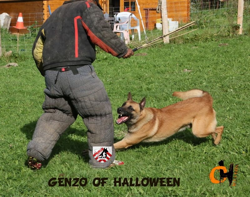 Genzo of Halloween